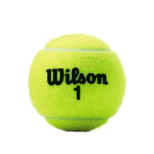 Wilson Tennis Balls Championship Can 3-Pack